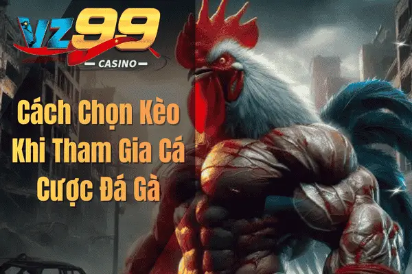 cach chon keo khi tham gia ca cuoc da ga 1