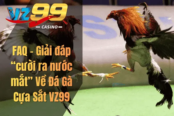 FAQ – Giải đáp “cười ra nước mắt” Về Đá Gà Cựa Sắt VZ99